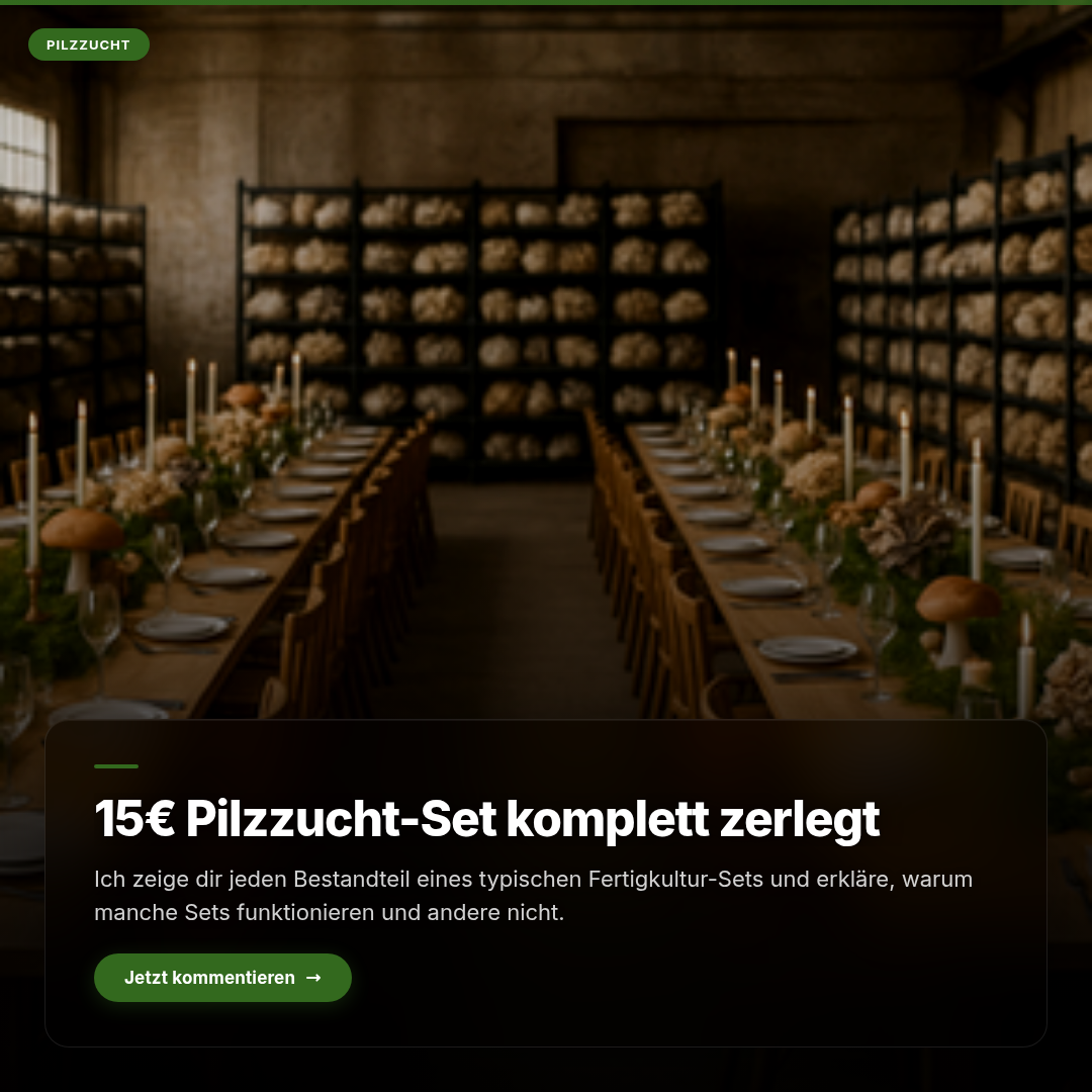 Beispiel-Post für edelpilze.shop