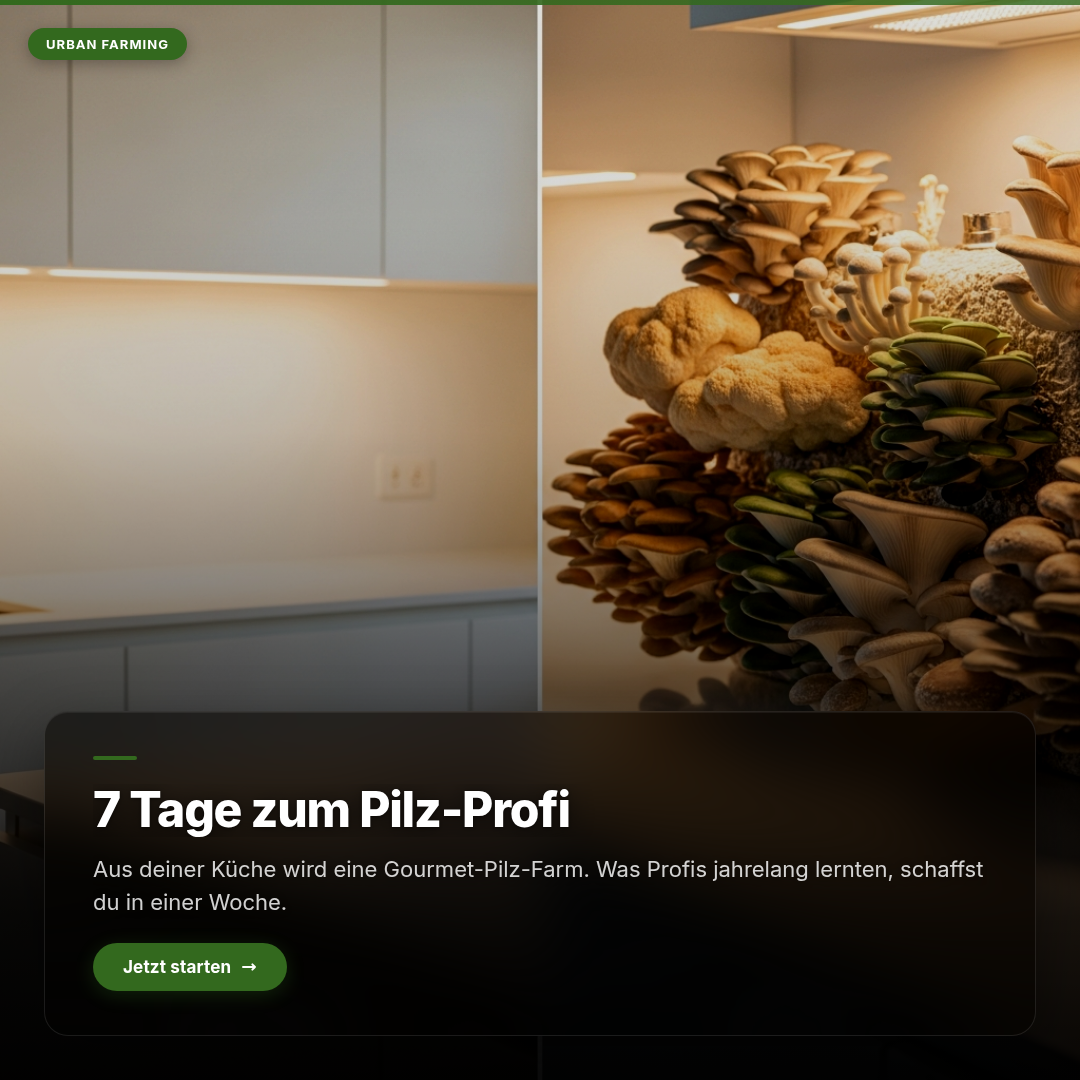 Beispiel-Post für edelpilze.shop